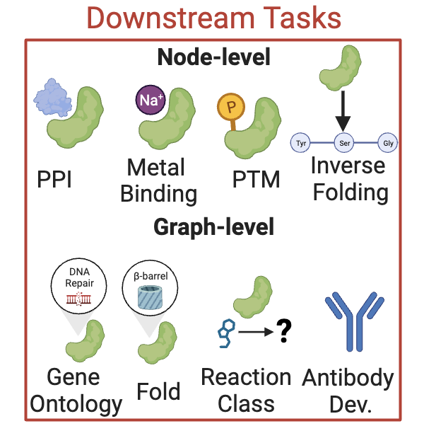 ../_images/box_downstream_tasks.png